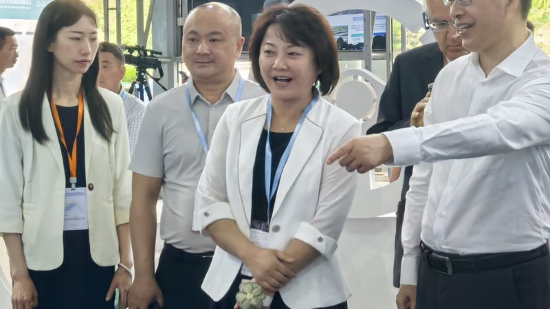 汽车电瓶上门安装，揭秘价格背后的秘密